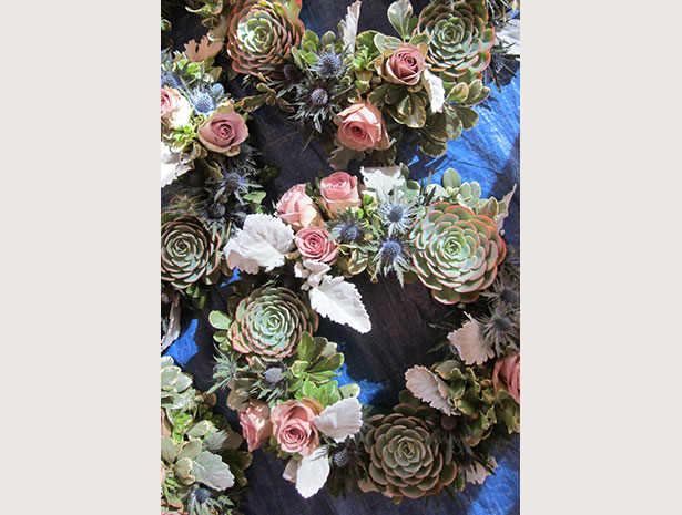 succulents and roses